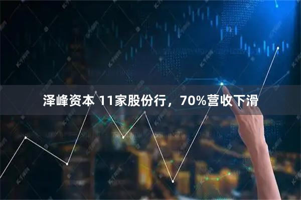 泽峰资本 11家股份行，70%营收下滑