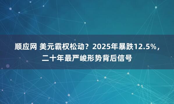 顺应网 美元霸权松动？2025年暴跌12.5%，二十年最严峻形势背后信号