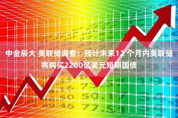中金辰大 美联储调查：预计未来12 个月内美联储将购买2200亿美元短期国债