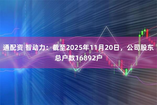 通配资 智动力：截至2025年11月20日，公司股东总户数16892户