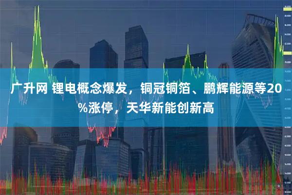 广升网 锂电概念爆发，铜冠铜箔、鹏辉能源等20%涨停，天华新能创新高