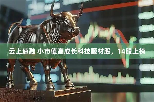 云上速融 小市值高成长科技题材股，14股上榜