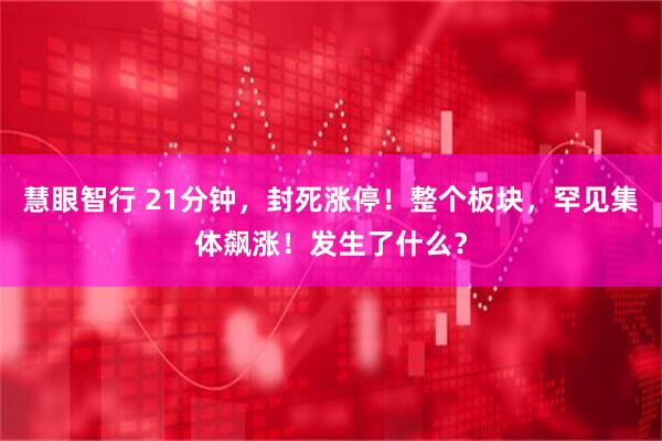 慧眼智行 21分钟，封死涨停！整个板块，罕见集体飙涨！发生了什么？